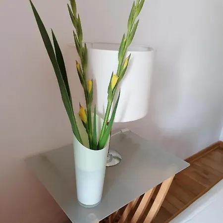 Cetina Apartment